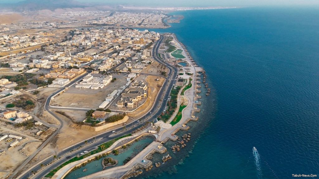 شتاء ضباء .. وجهة بحرية نابضة بالحياة لقضاء إجازة مختلفة على ساحل البحر الأحمر